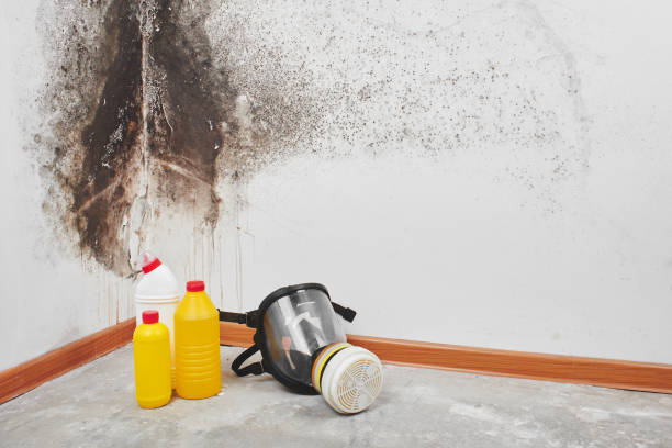 Best Industrial Mold Remediation in Oroville, CA