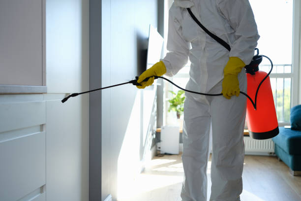 Best Emergency Mold Remediation in Oroville, CA