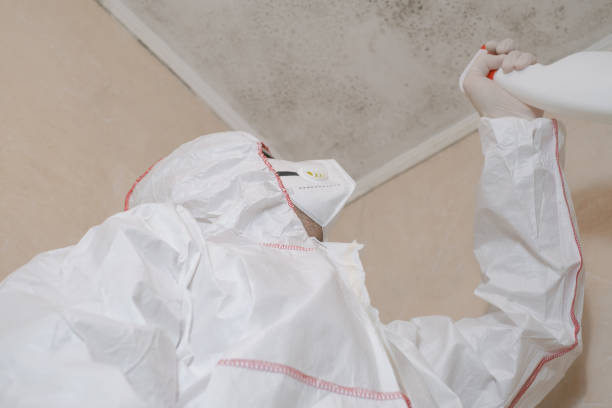 Best Post-Flood Mold Remediation in Oroville, CA