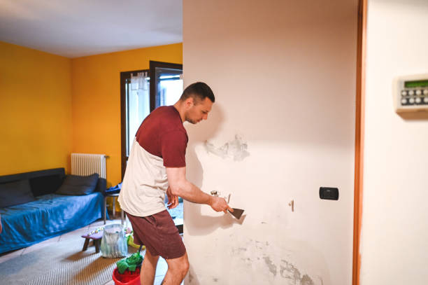 Best DIY Mold Remediation Support Services in Oroville, CA