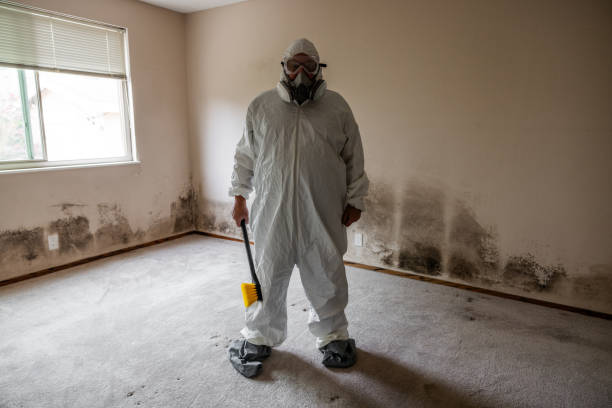Best Post-Flood Mold Remediation in Oroville, CA